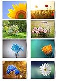 48 Grußkarten Blumen Klappkarten mit 48 Umschlägen Blumen & Garten