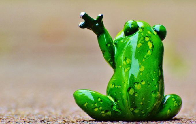 Babyschwimmen - 8. Tag - Frosch winkt zum Abschied