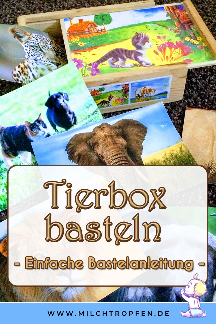 Tierbox basteln - Einfache Bastelanleitung | Mehr Infos auf www.milchtropfen.de