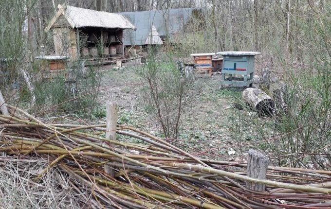 Museumsdorf Düppel - Bienenbestände