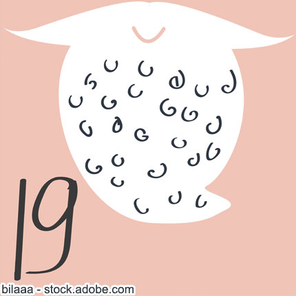 Weihnachtskalender 19.12.