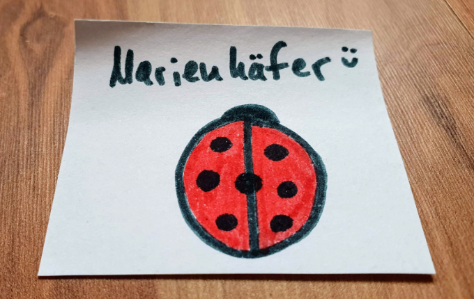 Wer bin ich? Marienkäfer auf Post-it