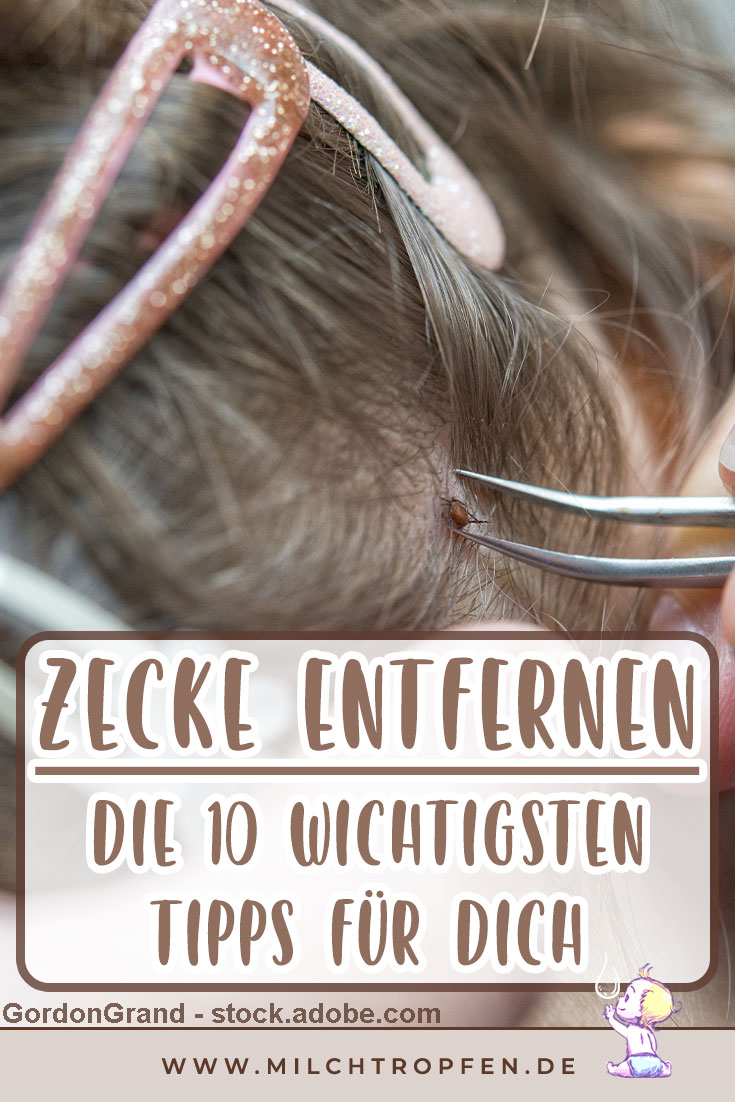 Zecke entfernen - Die 10 wichtigsten Tipps für dich